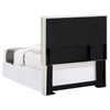 Izzy Headboard