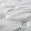 Hayes Medium Plush Pillow Top Hybrid Mattress