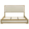 Hyland Panel Bed with LED Lighting
