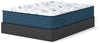Limited Edition Plush 3.0 Mattress