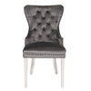 Galaxy Home Erica Stainless Steel Legs Dining Chair (Set of 2) in Dark Gray