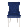 Galaxy Home Erica Stainless Steel Legs Dining Chair (Set of 2) in Blue