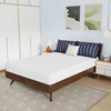 Nasturtium 8" Full Bamboo Charcoal Infused Memory Foam