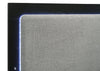Caraway Panel Bed with LED Lighting