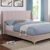 Pearl Bed