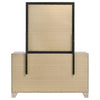 Trenton Dresser with Mirror