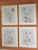Chettings Wall Art (Set of 4)