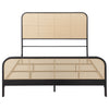 Lanewood Panel Bed