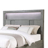 Kenzo Bed