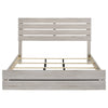 Brantford Panel Bed