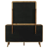 Robyn Dresser with Mirror