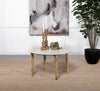 Aldis Coffee Table