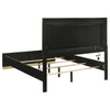 Caraway Panel Bed with LED Lighting