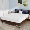 Nasturtium 10" Queen Bamboo Charcoal Infused Memory Foam