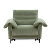 Morley Power Recliner