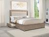 Kenora Panel Platform Storage Bed with LED Lighting