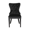 Galaxy Home Erica Wood Legs Dining Chair (Set of 2) in Black