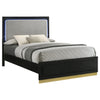 Caraway Panel Bed with LED Lighting