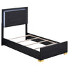 Marceline Panel Bed with LED Lighting