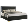 Marceline Panel Bed with LED Lighting