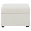 Winter Storage Ottoman