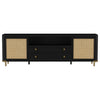 Arini TV Stand
