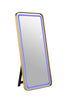 Katlyn Floor Mirror