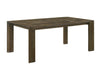 Coppet Dining Table