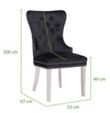 Galaxy Home Simba Stainless Steel Legs Dining Chair (Set of 2) in Black