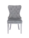 Galaxy Home Simba Stainless Steel Legs Dining Chair (Set of 2) in Silver